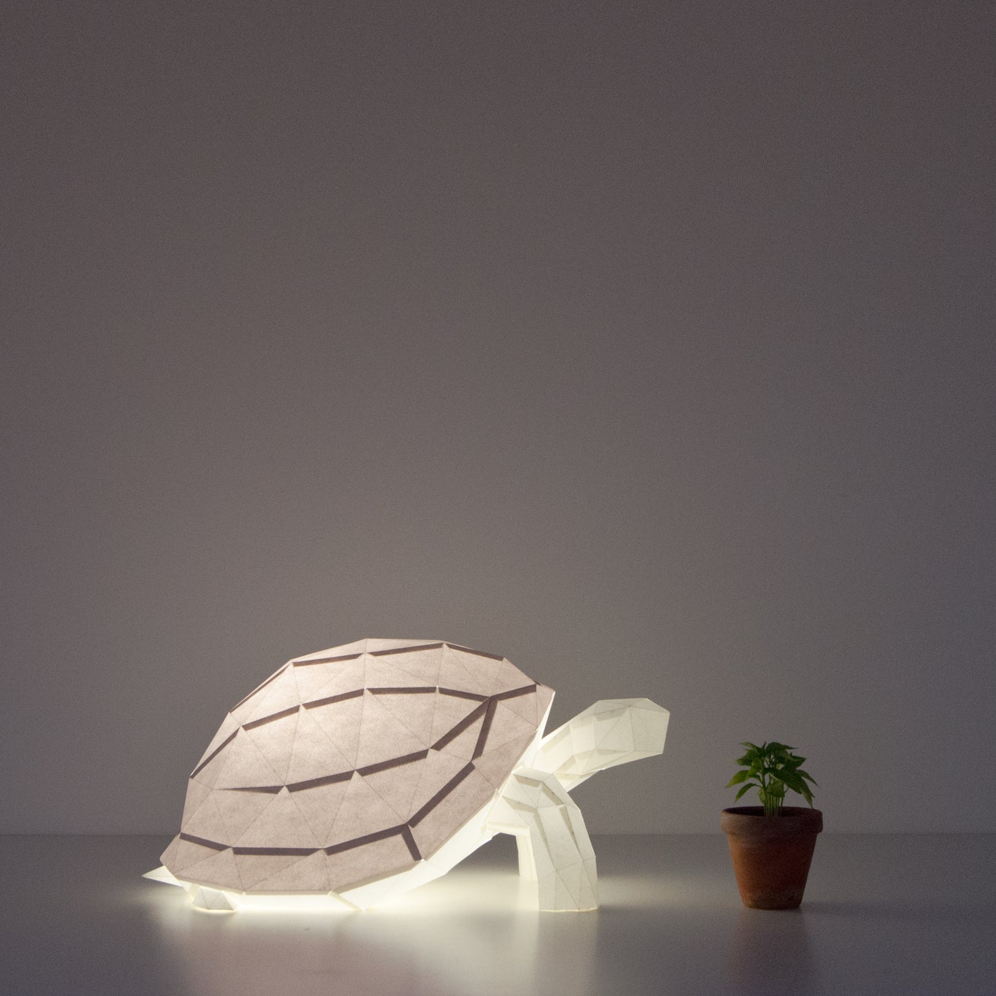 Owl Paper Lamps - Tortoise