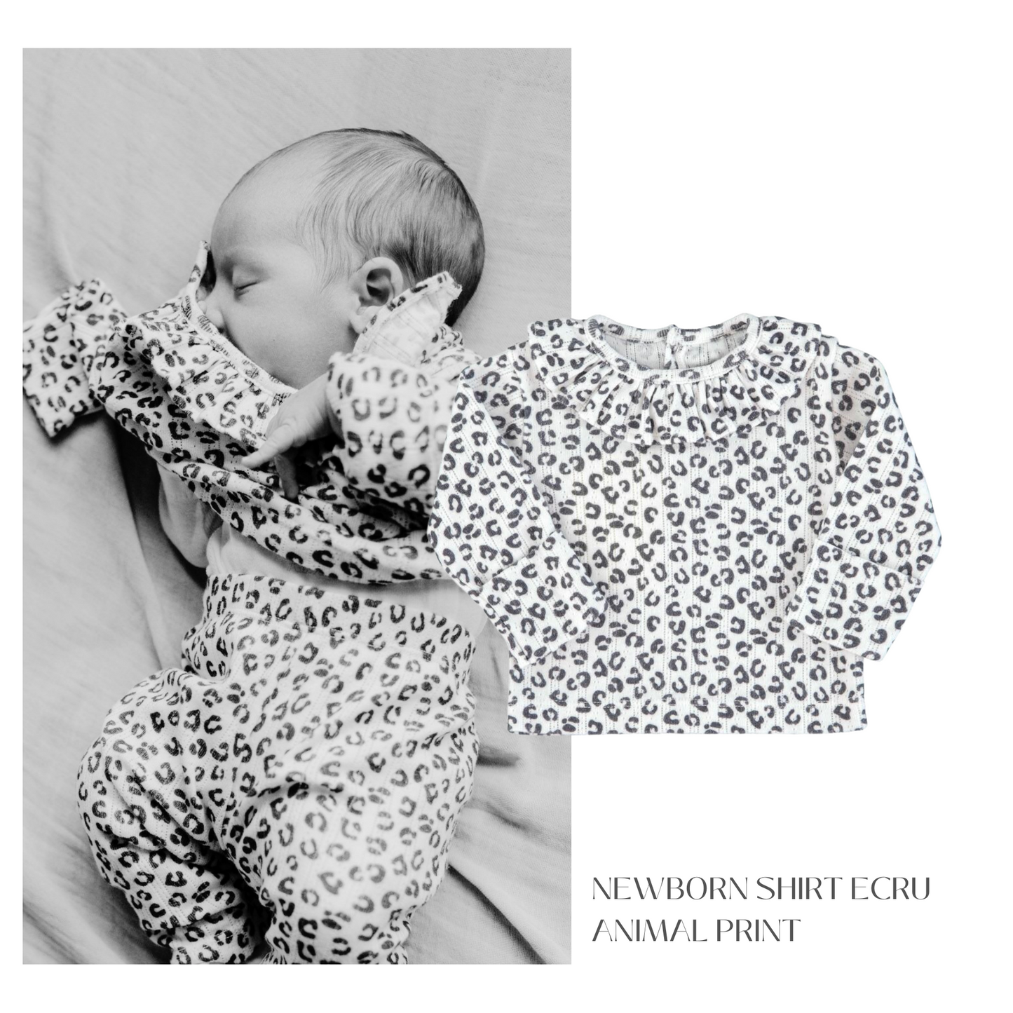 Piupiuchick - Newborn Collar Shirt Ecru w Animal Print