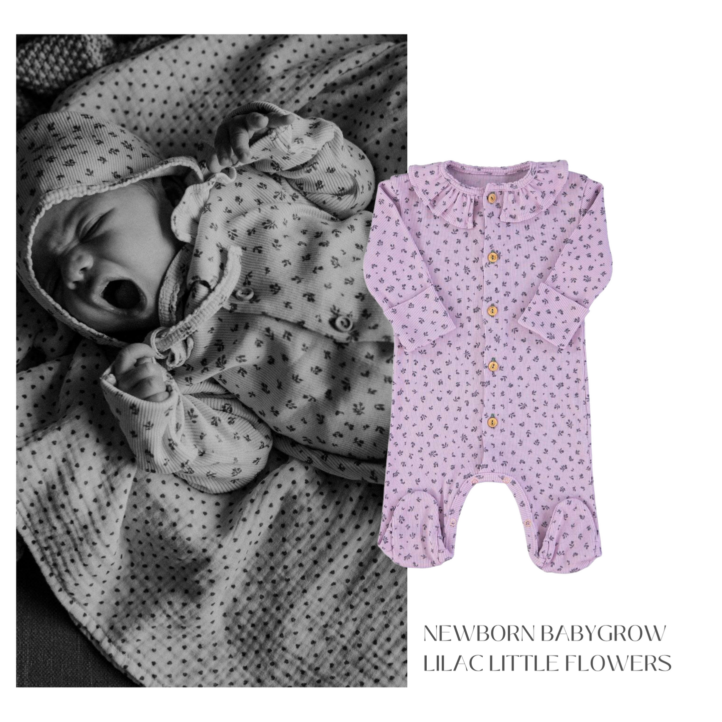 Piupiuchick - Newborn Babygrow w Collar Lilac w Little Flowers